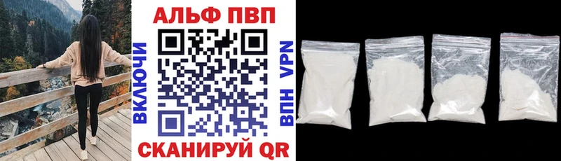 Альфа ПВП СК  Грязовец 