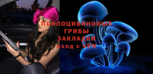 синтетический гашиш Алексеевка