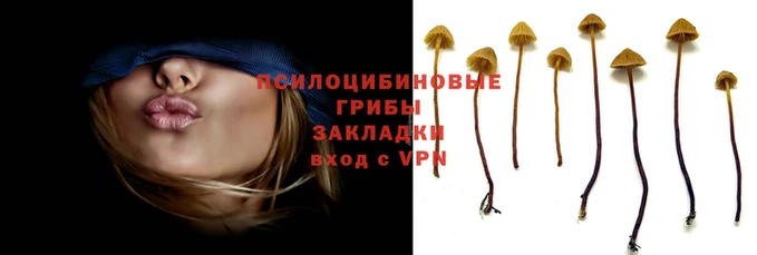 синтетический гашиш Алексеевка
